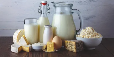 APLV et intolérance au Lactose 3