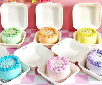 Bento cake box