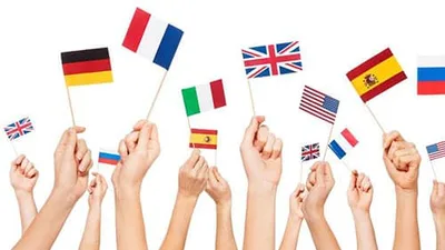 Les épreuves générales du CAP Pâtissier (facultatives ou non !) 6