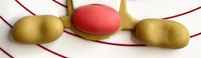 Cartoon Cake patte