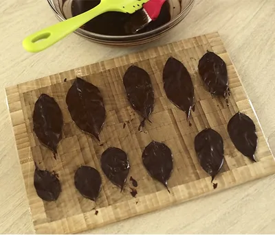 Feuille en chocolat