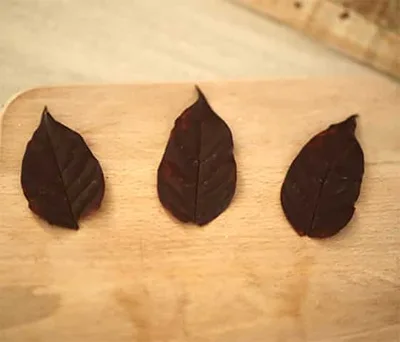 feuille en chocolat