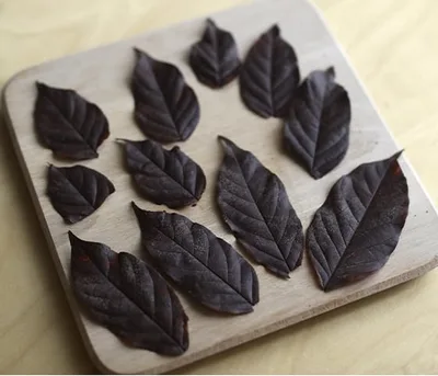 Feuille en chocolat