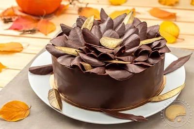 feuille en chocolat