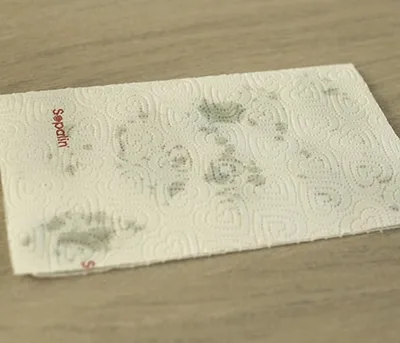 Feuille en chocolat