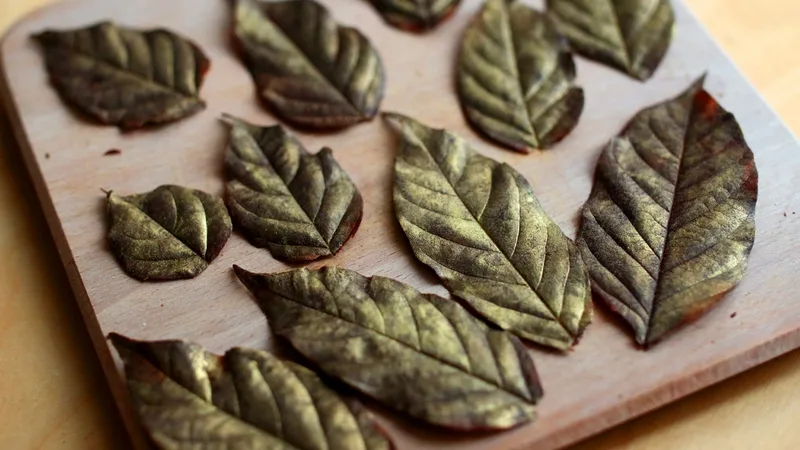 feuille en chocolat