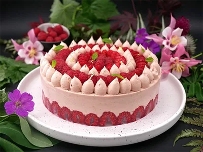 Fraisier framboisier