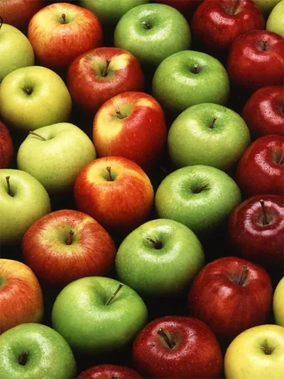 Tarte Tatin Quelle pomme ?