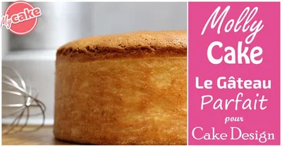 Le Molly Cake – Le gâteau parfait pour le Cake Design