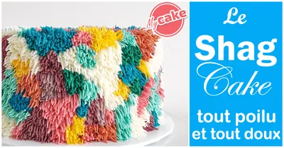 Le Shag Cake, au rendu "tout poilu tout doux" !