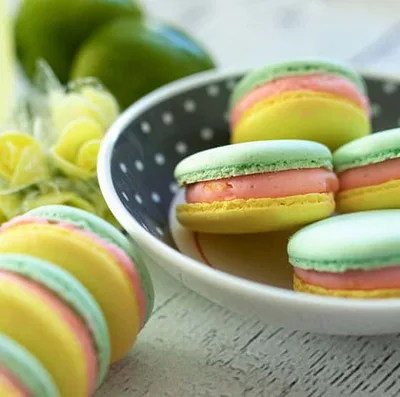 Macaron bicolore