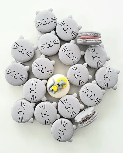 Macaron chat