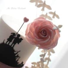 Cynthia Amine