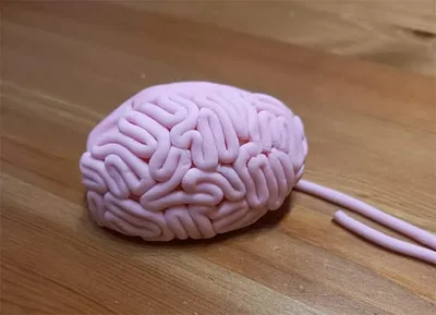 modeler un cerveau -