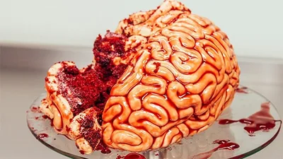 modeler un cerveau