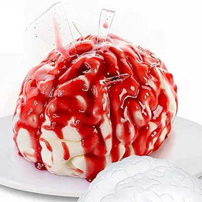 modeler un cerveau
