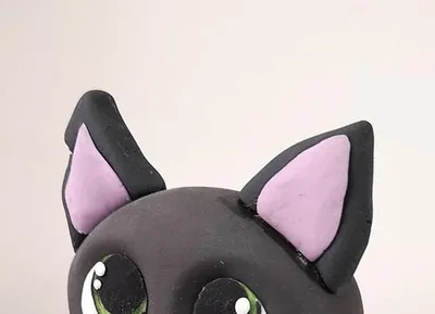 Modeler un chat