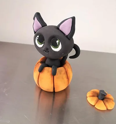 Modeler un chat