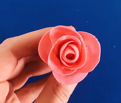 Modeler une rose