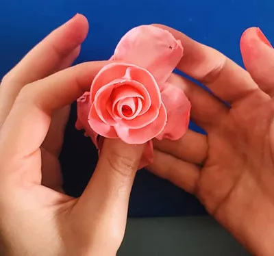 Modeler une rose
