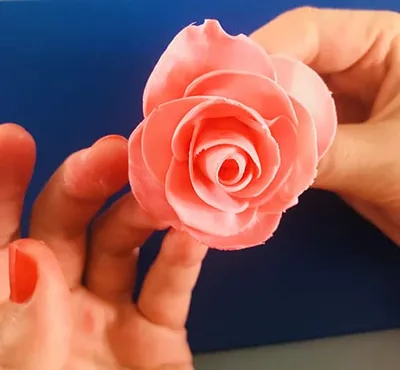Modeler une rose
