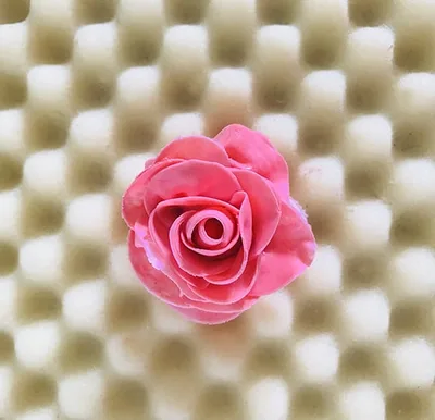 Modeler une rose