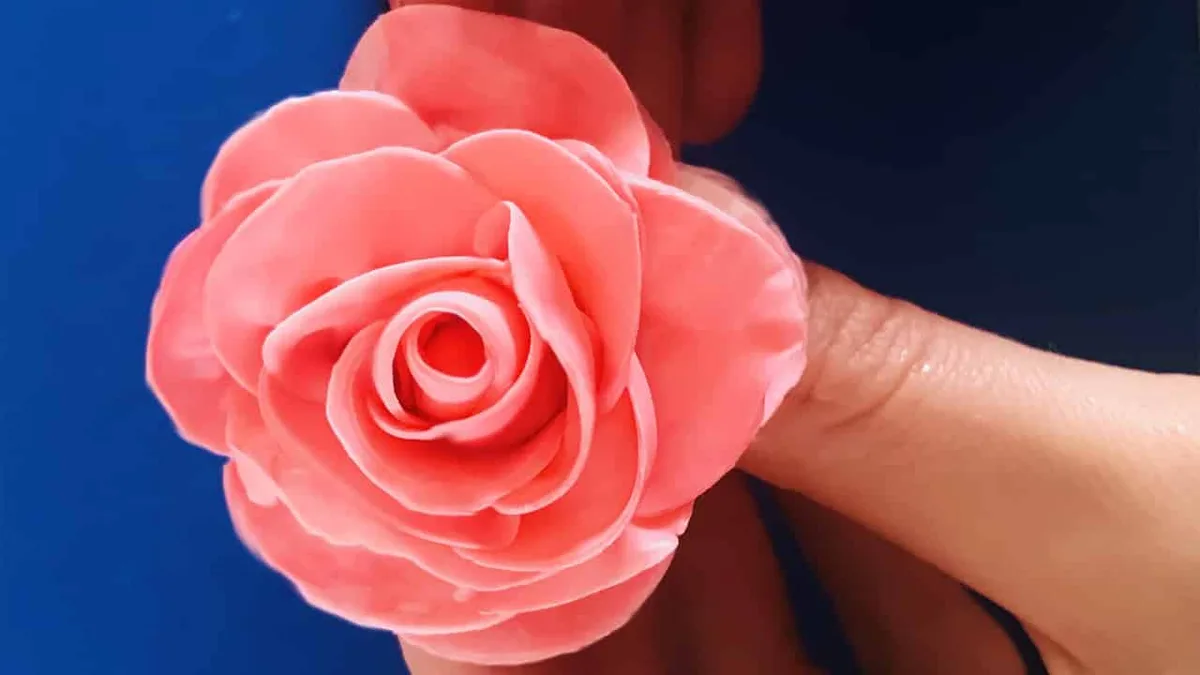 Modelage Rose
