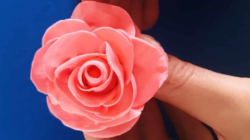 Modelage Rose