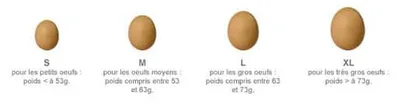 15 Mythes du Cake Design français 12