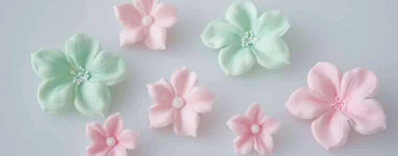 6 pâtes pour Cake Design à connaitre à tout prix ! 14