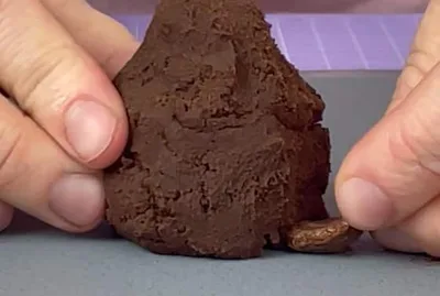 Pomme de pin au chocolat