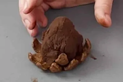 Pomme de pin au chocolat