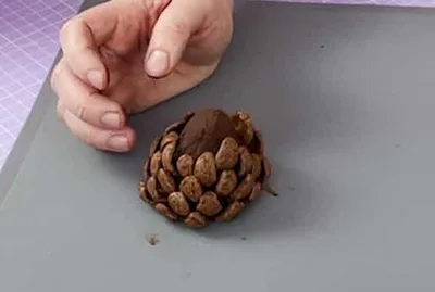 Pomme de pin au chocolat