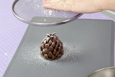 La Pomme de pin au chocolat pour sublimer vos desserts !