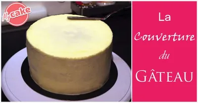 Premier gâteau de Cake Design 11
