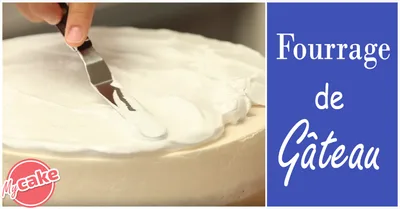 Premier gâteau de Cake Design 10