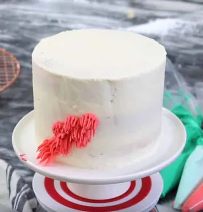 Shag Cake - Une couleur