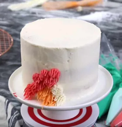 Shag Cake - Et encore