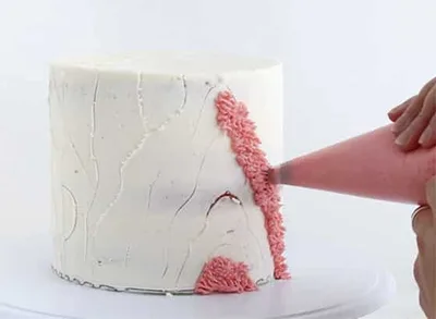 Shag cake repère de dessins
