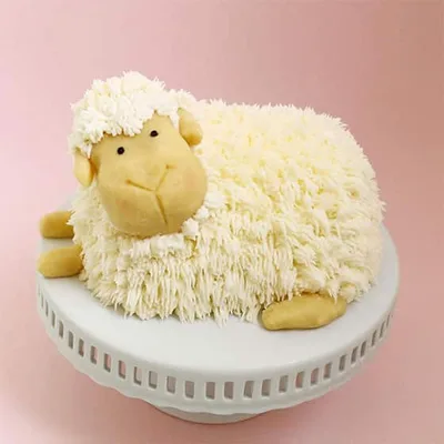 Exemple de Shag Cake