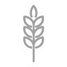 Farine de blé